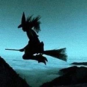 Meet your Posher, Talisa